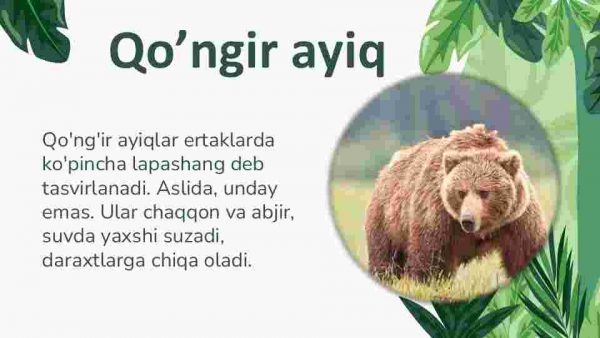 Tayga yirtqichlari - Image 2