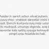 Tayga yirtqichlari - Image 3