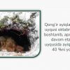 Tayga yirtqichlari - Image 4