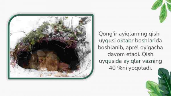 Tayga yirtqichlari - Image 4