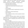 Iqtisodiy va ijtimoiy huquqlar tizimi - Image 2