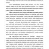 Janubiy Amerika xalqlari - Image 4