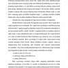 Maktabgacha tarbiya yoshidagi bolalar nutqining rivojlanish xususiyatlari - Image 4