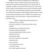 Matn protsessori word - Image 3