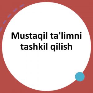 Mustaqil ta'limni tashkil qilish