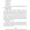Nutqning uslubiy turlari - Image 3