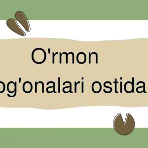 O'rmon pog'onalari ostida
