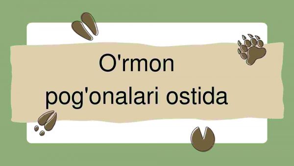 O'rmon pog'onalari ostida
