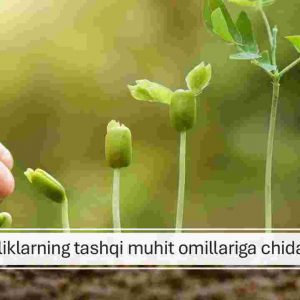 O'simliklarning tashqi muhit omillariga chidamliligi