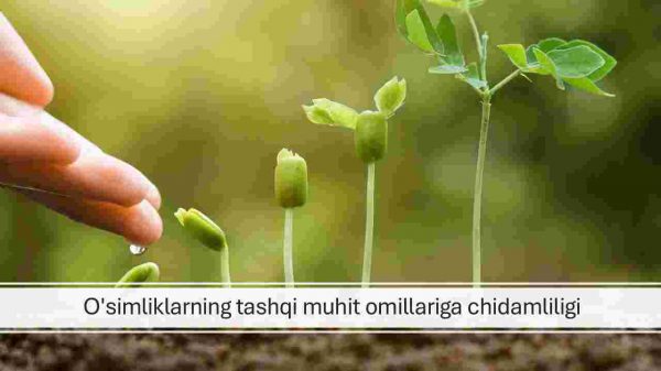 O'simliklarning tashqi muhit omillariga chidamliligi
