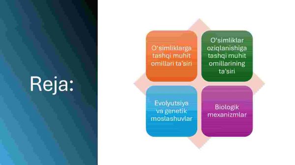 O'simliklarning tashqi muhit omillariga chidamliligi - Image 2