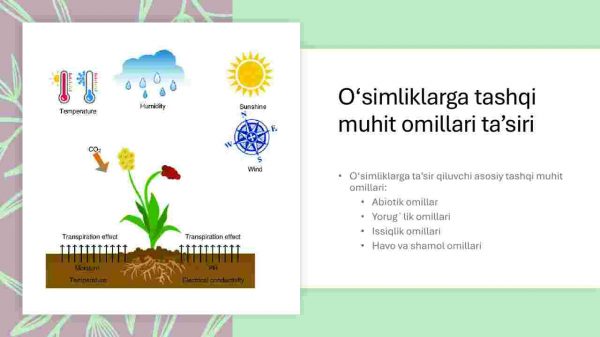 O'simliklarning tashqi muhit omillariga chidamliligi - Image 3