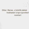 Otlar: Narsa , o'simlik,tabiat hodisalari o'quv qurollari nomlari
