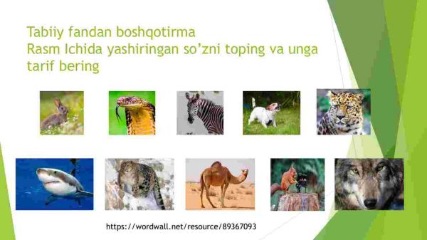 Tabiiy fanda kreativlik - Image 2