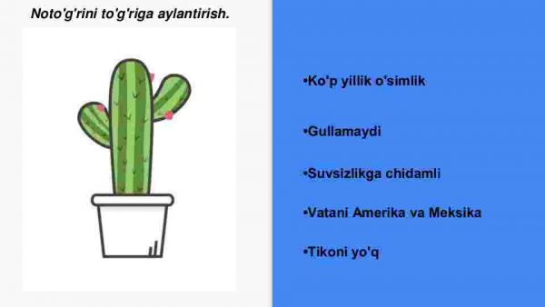 Tabiiy fanda kreativlik - Image 4