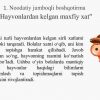 Tabiiy fandagi kreativlik - Image 2