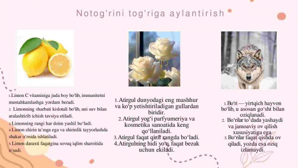 Tabiiy fanda kreativlik - Image 4