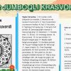 Tabiiy fanda kreativlik - Image 3