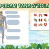 Tabiiy fanda kreativlik - Image 4