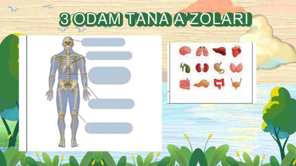 Tabiiy fanda kreativlik - Image 4