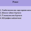 Tabiatshunoslik (tabiiy fan) fanining moddiy  bazasi - Image 2