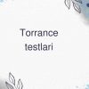 Torrance testlari