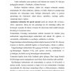 Tushuncha - Image 4