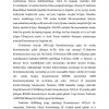 O’zbekistonning 1992-yilgi Konstitutsiyasining vujudga kelishi - Image 2
