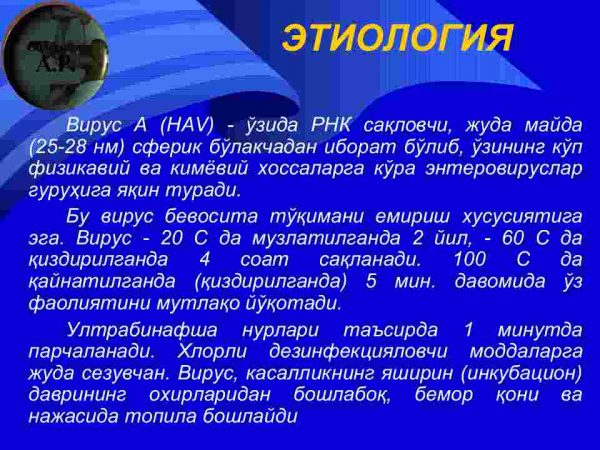 A va E enteral virusli gepatitlar - Image 4