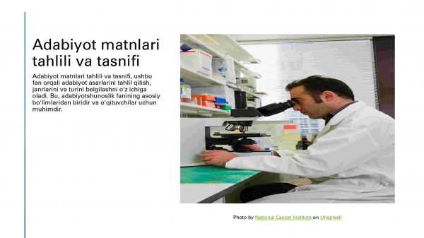 Adabiyotshunoslik fanining vazifalari va strukturalari - Image 4