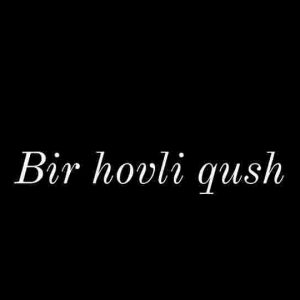 Bir hovli qush