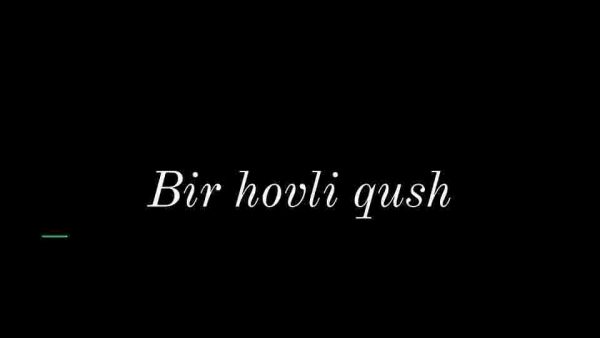 Bir hovli qush
