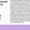Boshlang'ich sinf o'quvchilarida sog'lom hayot tarzini shakllantirish - Image 2