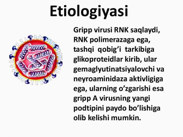 Gripp. O'rvi - Image 4