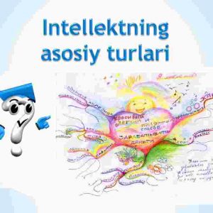 Intellektning asosiy turlari