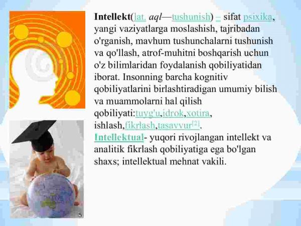 Intellektning asosiy turlari - Image 2