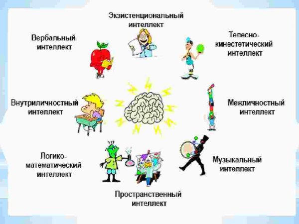 Intellektning asosiy turlari - Image 4