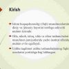 Islom huquqshunosligida oila, nikoh, taloq, idda, zihor tushunchalarini ta’riflash - Image 2