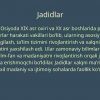 Jadid marifatparvarlarining o'lka ijtimoiy ma'naviy hayotida tutgan o'rni - Image 2