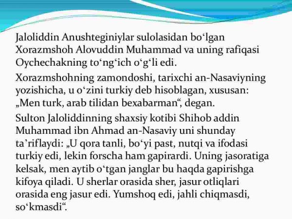 Jaloliddin Manguberdi -Vatan himoyachisi - Image 3