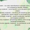 Kasbiy va pedagogik rivojlanishni shaxsiy marshrutlarini monitoring qilish - Image 2