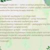 Kasbiy va pedagogik rivojlanishni shaxsiy marshrutlarini monitoring qilish - Image 3