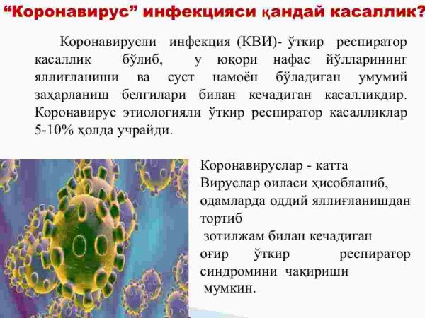 “Koronavirus” infeksiyasi - Image 2
