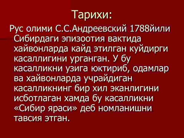 Kuydirgi - Image 4