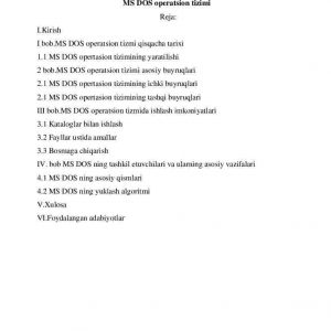 MS DOS operatsion tizimi