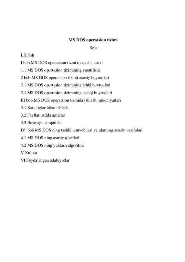 MS DOS operatsion tizimi