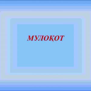 Muloqot