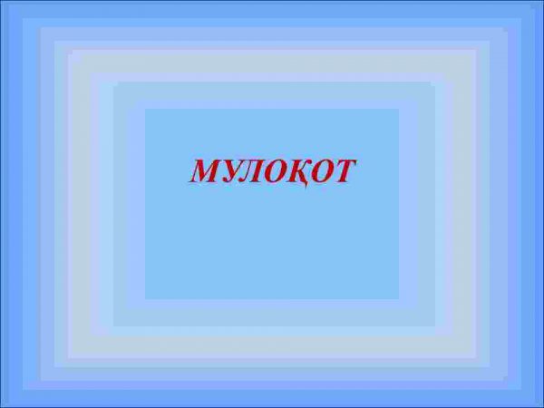 Muloqot