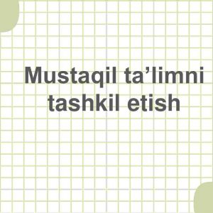 Mustaqil ta’limni tashkil etish