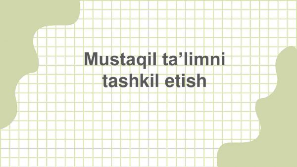 Mustaqil ta’limni tashkil etish